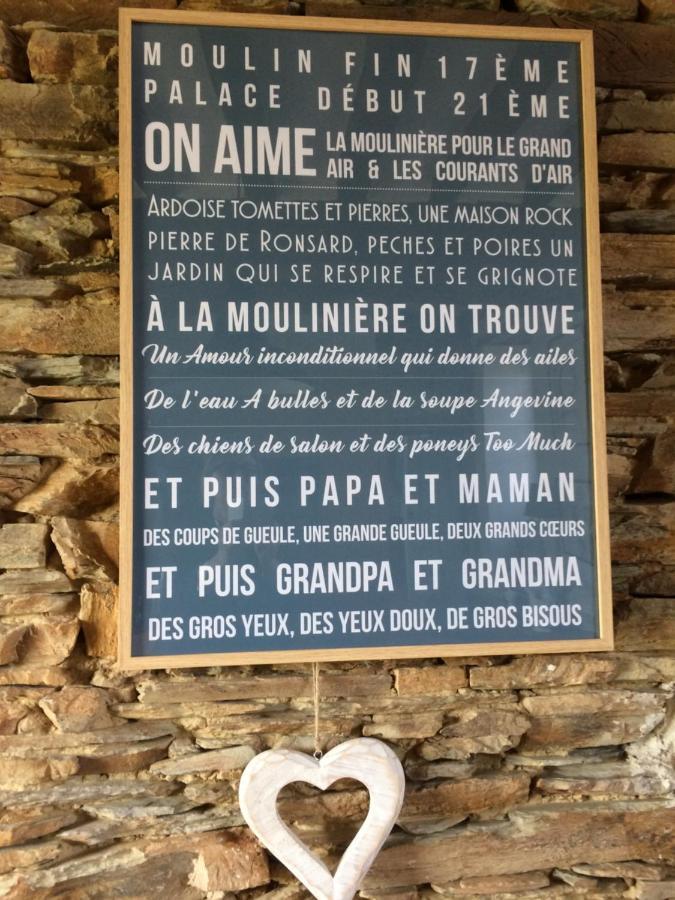 La Mouliniere, Jolie Longere Du Xviie Bed & Breakfast La Jaille-Yvon Luaran gambar