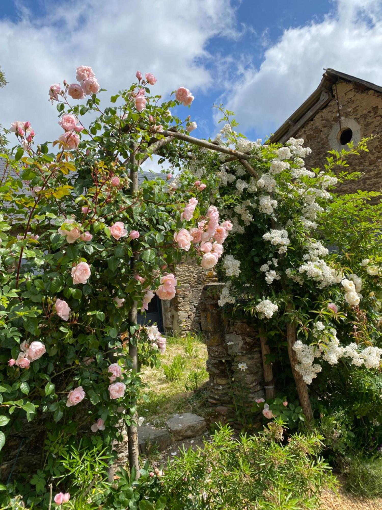 La Mouliniere, Jolie Longere Du Xviie Bed & Breakfast La Jaille-Yvon Luaran gambar